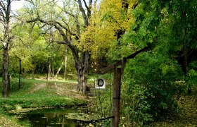 Ein idyllischer Wald mit einem kleinen Teich und einer alten Holzpumpe im Vordergrund.