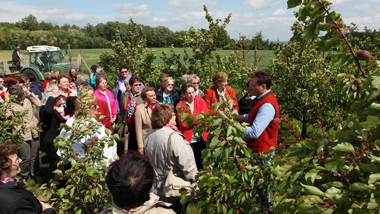 Operational management, © Ing. Wolfgang Hackl