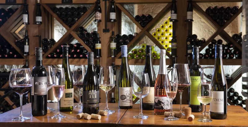 Große Weinvielfalt in der Gebietsvinothek im Althof Retz