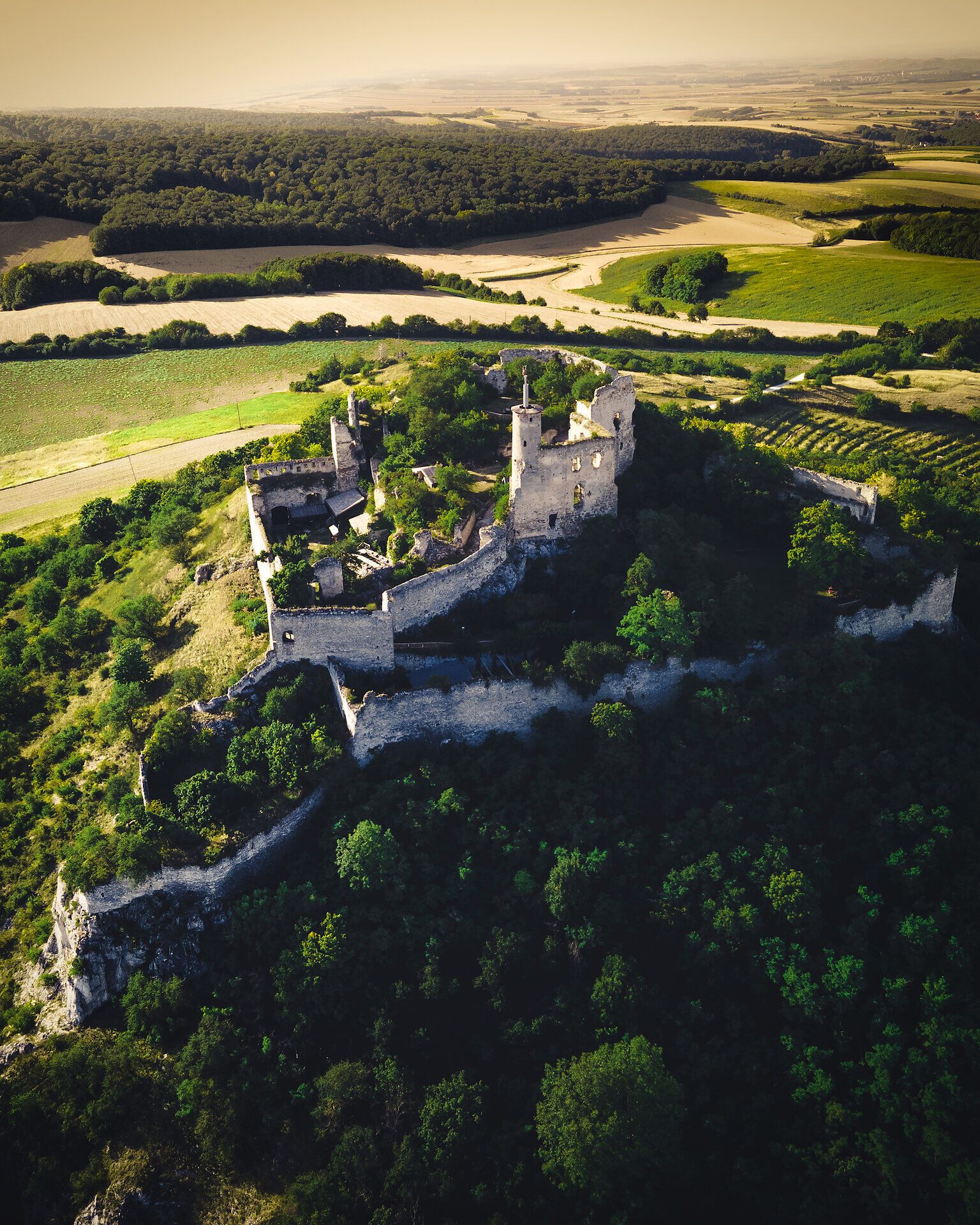 Die majestätische Burg Falkenstein thront über der malerischen Landschaft des Weinviertels und bietet atemberaubende Ausblicke auf die sanften Hügel und Weinreben. Umgeben von üppigem Grün und dem Gesang der Vögel, lädt dieser historische Ort dazu ein, in die faszinierende Geschichte einzutauchen und die Schönheit der Natur zu genießen.