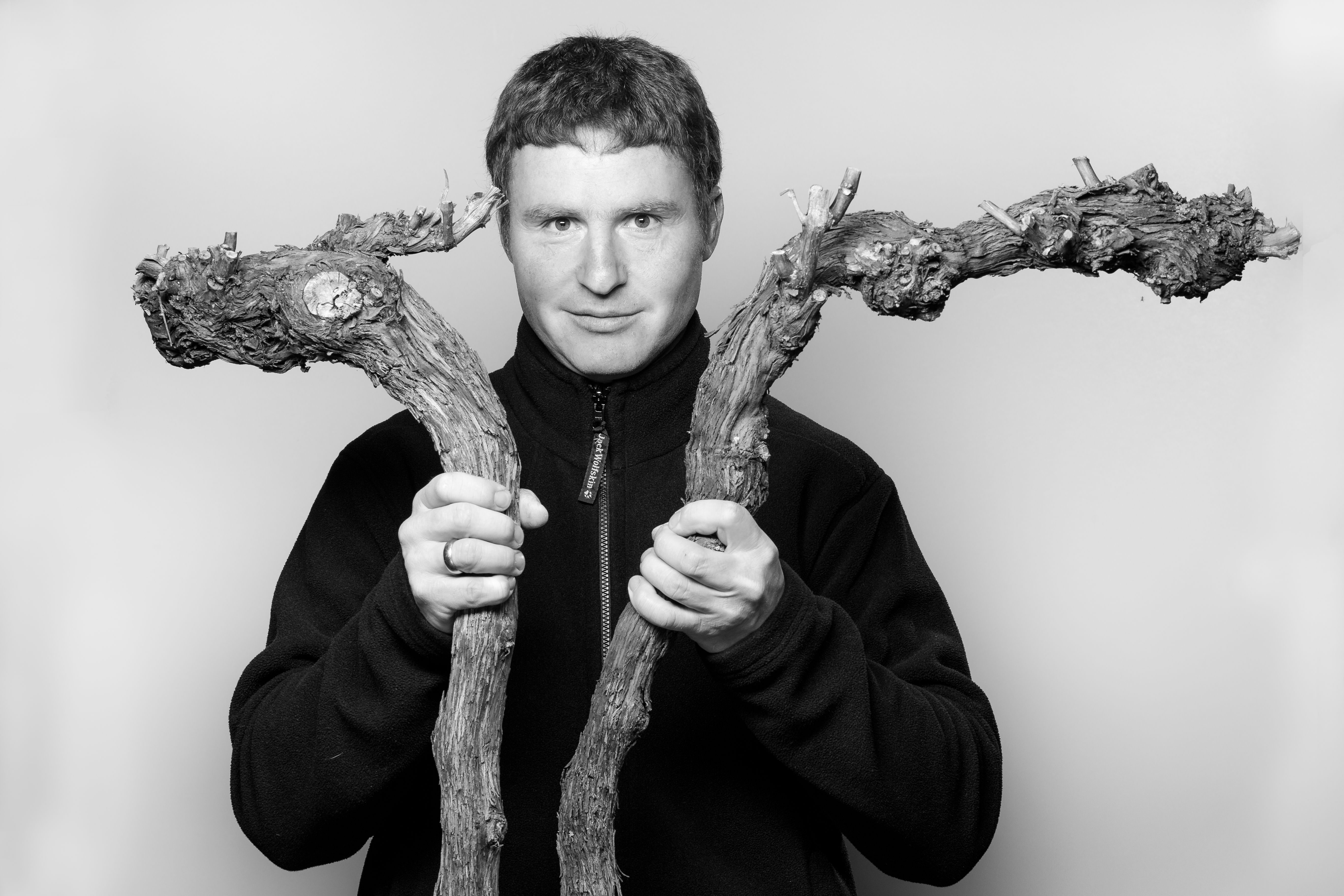 Person hält zwei Rebstöcke in den Händen.