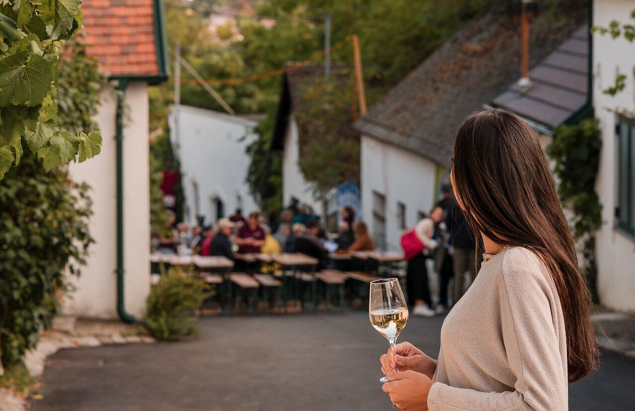 Eine Frau steht mit einem Glas Weißwein in der Hand in einer Kellergasse und betrachtet das gesellige Treiben, das im Rahmen des Kellergassenfestes herrscht.