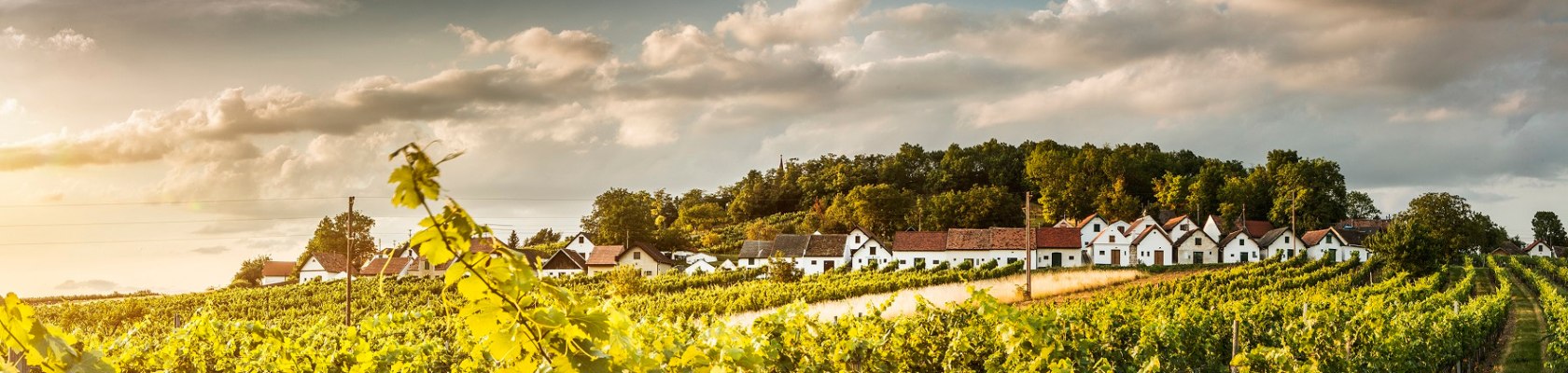 Weinviertler Kellergassen, © Niederösterreich Werbung / Michael Liebert