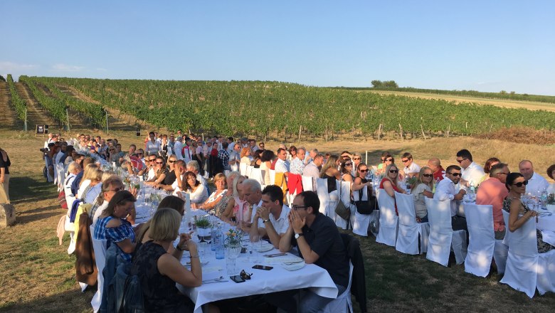 Menschen sitzen an langen Tischen in einem Weinberg bei sonnigem Wetter.