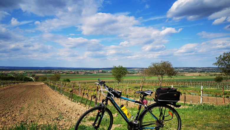 Fahrrad vor einer Landschaft mit Feldern und blauem Himmel.