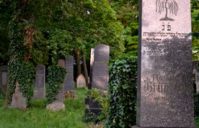 Jüdischer Friedhof Hollabrunn, © Mantler-Stockinger