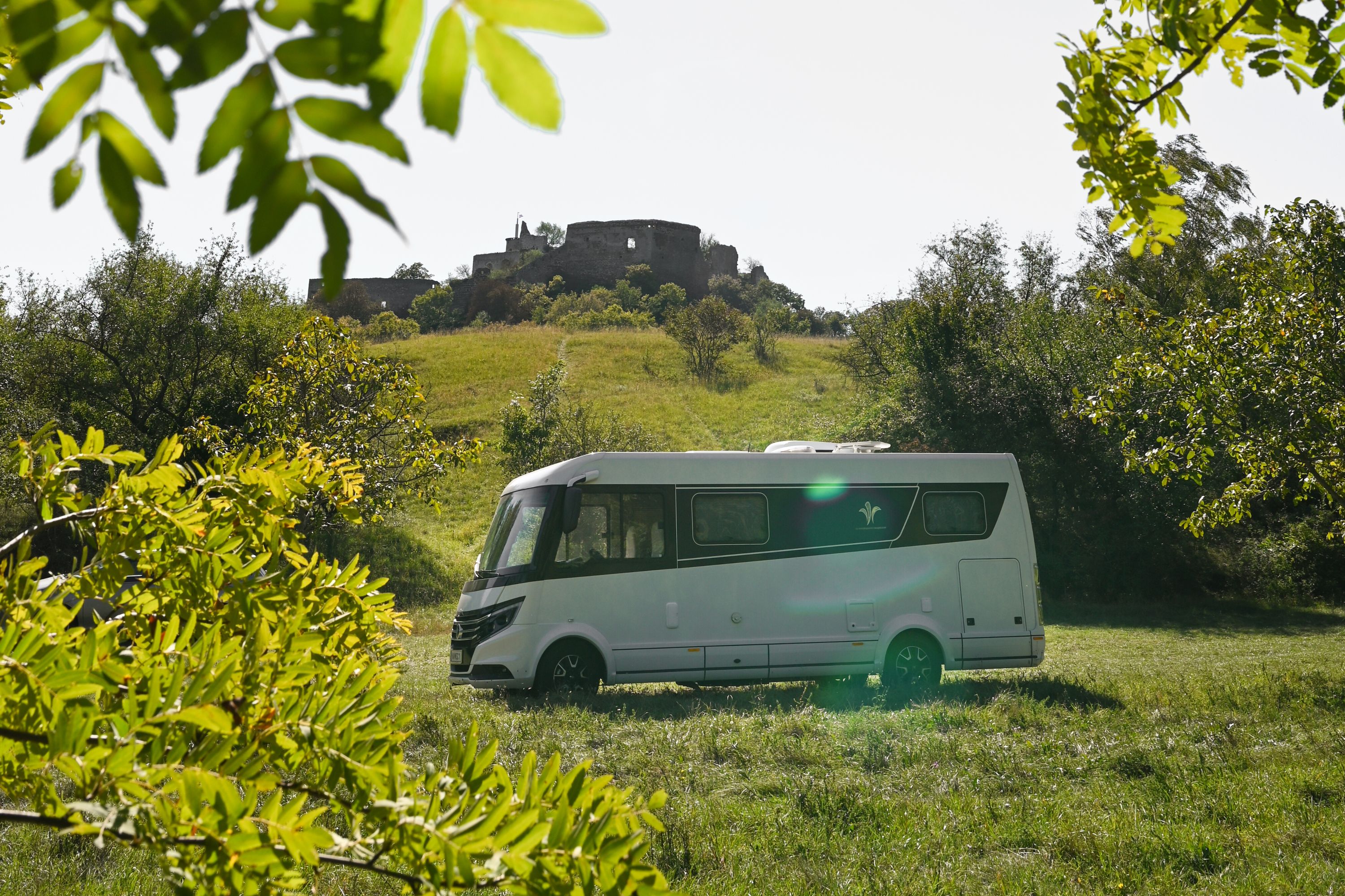 Wohnmobil auf einer Wiese vor einer Burgruine in Falkenstein.
