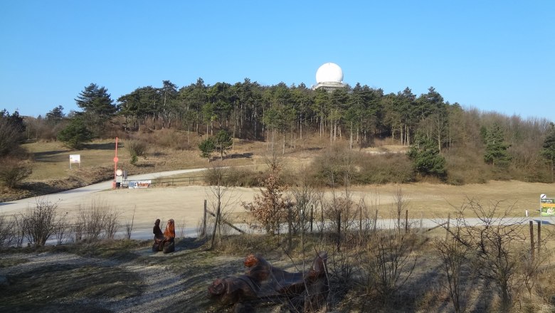 Landschaft mit H&uuml;gel, Wald und Radarkuppel auf dem Buschberg.
