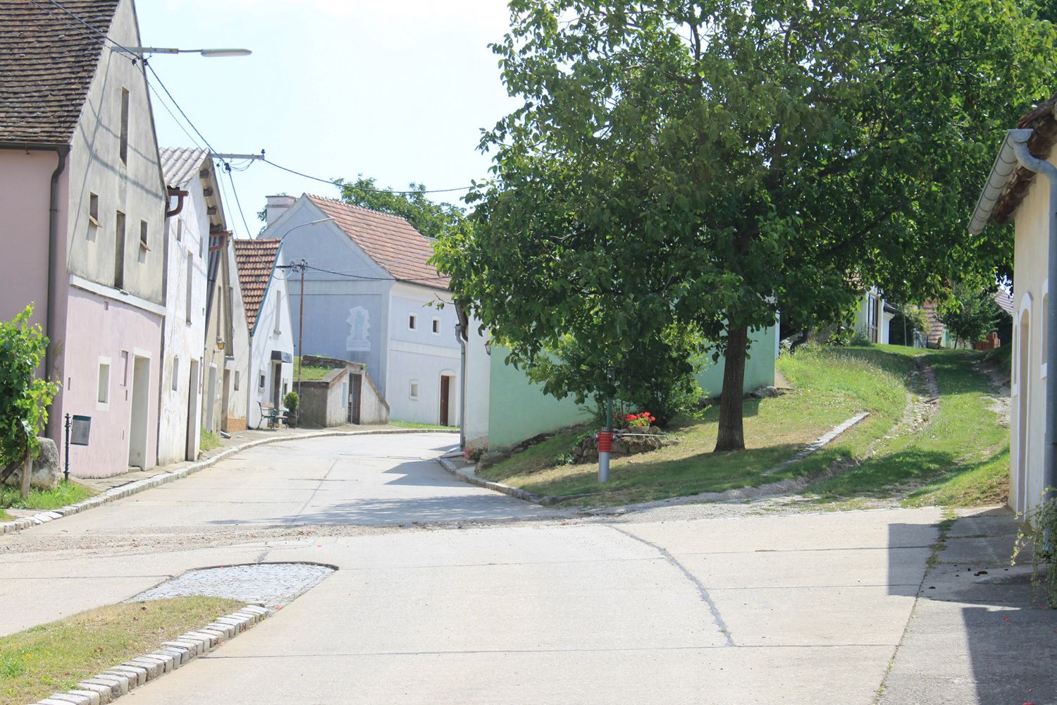 Eine malerische Kellergasse mit traditionellen Häusern und einem Baum an einem sonnigen Tag.