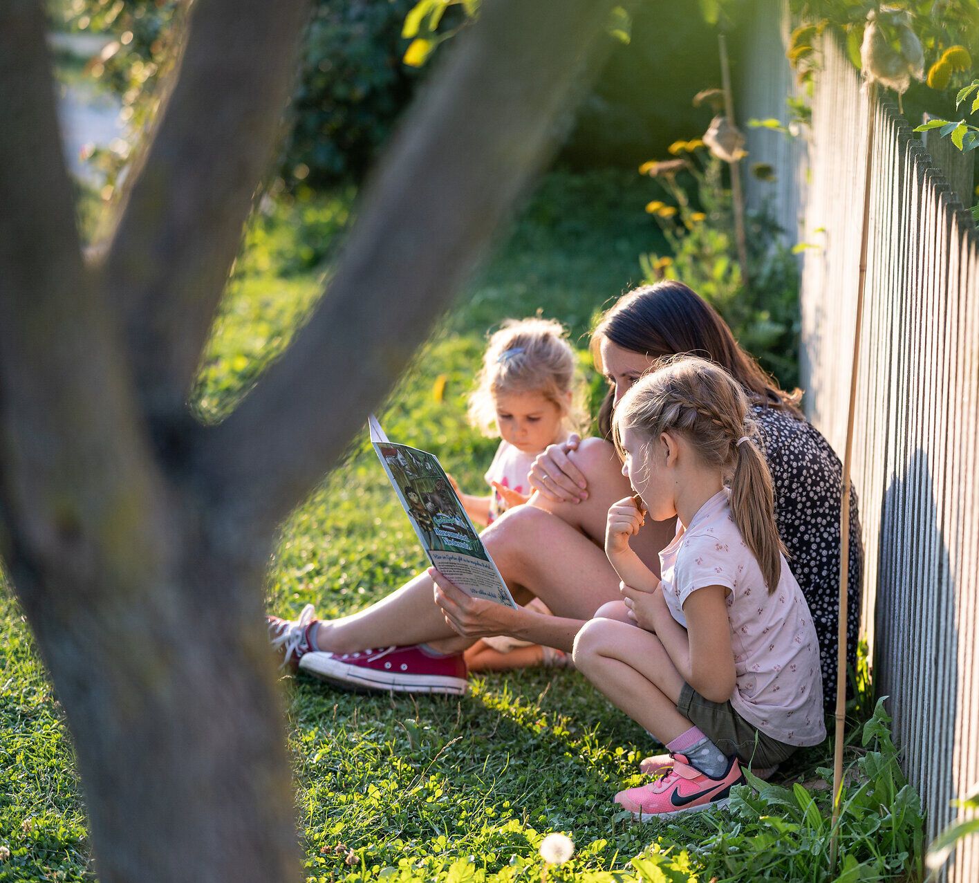 Inmitten der sanften Hügel des Weinviertels genießen Kinder und Erwachsene gemeinsam die Freude am Lesen und Entdecken. Die warme Abendsonne taucht die Szene in ein goldenes Licht, während die Natur um sie herum in voller Blüte steht und eine harmonische Atmosphäre schafft.