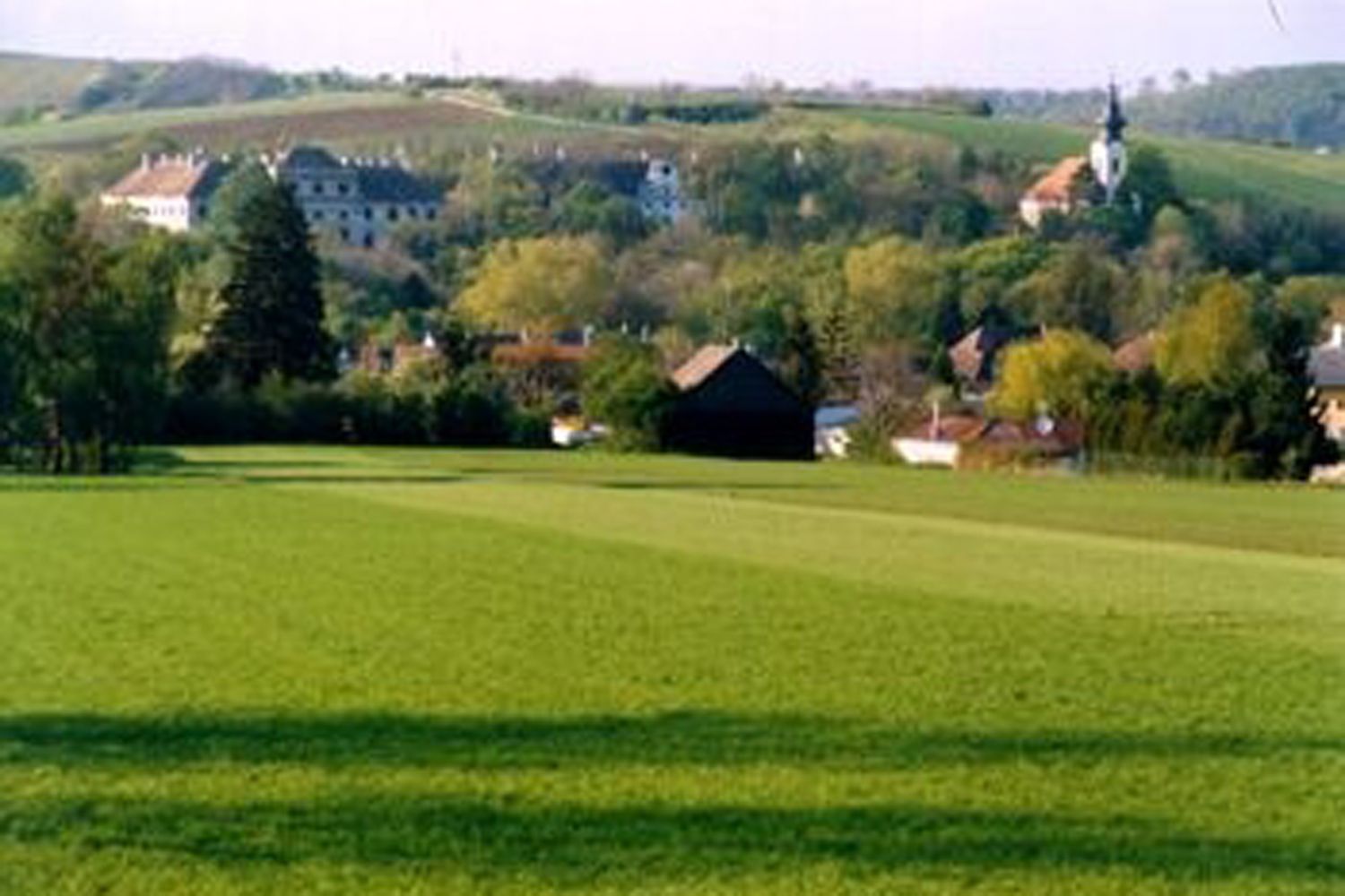 Grüne Wiesen mit Dorf und Kirche im Hintergrund.
