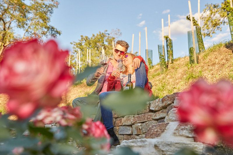 Gemütliche Terrasse im Weinstöckl - Weingut Hindler
