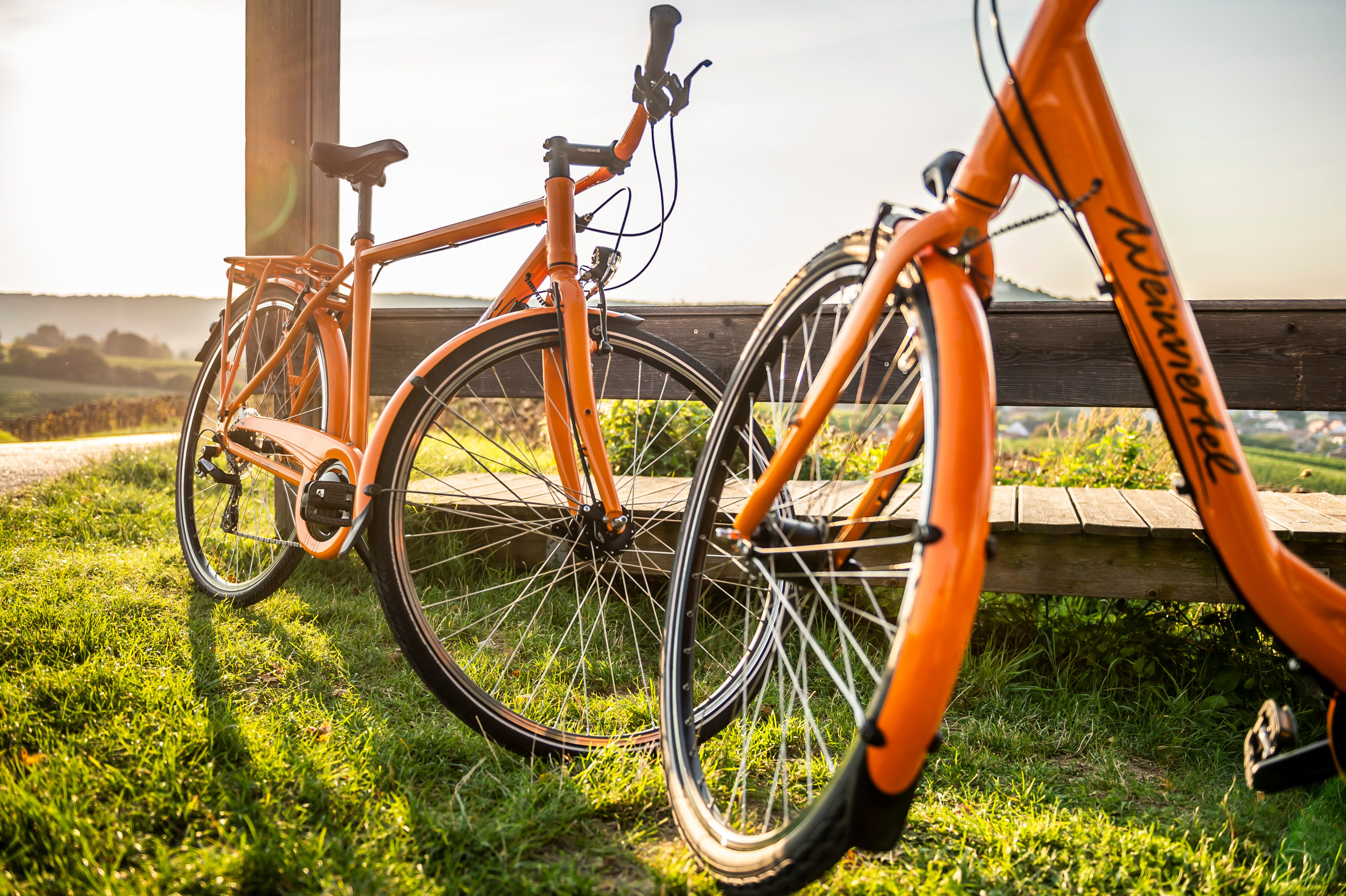 Zwei orangefarbene Fahrräder stehen auf einer Wiese neben einer Holzbank, im Hintergrund eine hügelige Landschaft bei Sonnenuntergang.