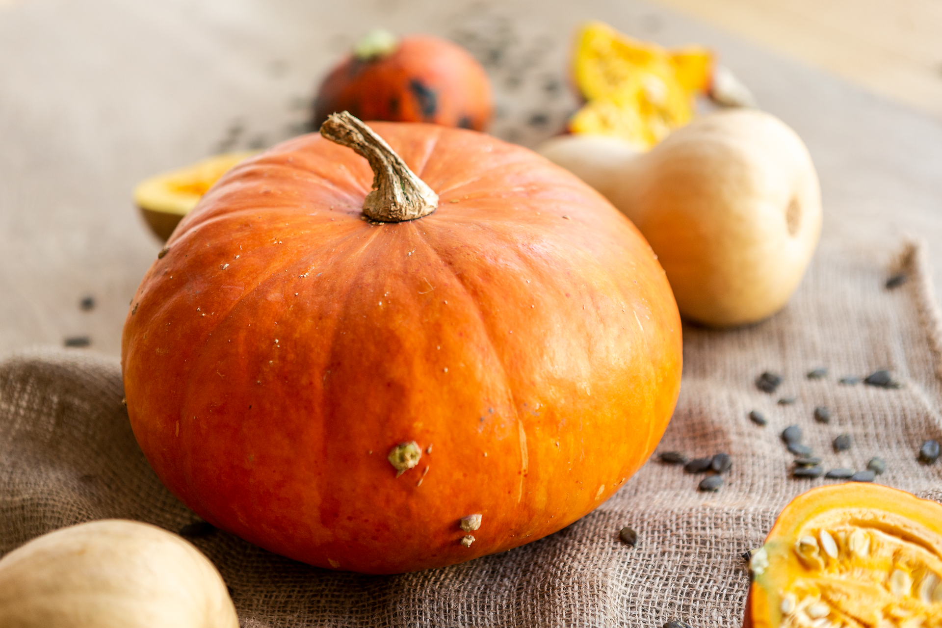 Die leuchtenden Farben der Kürbisse bringen die herbstliche Stimmung zum Leben. Umgeben von einer rustikalen Textur strahlt die Szene eine einladende Wärme aus, die zum Verweilen einlädt. Hier wird die Fülle der Erntezeit spürbar.