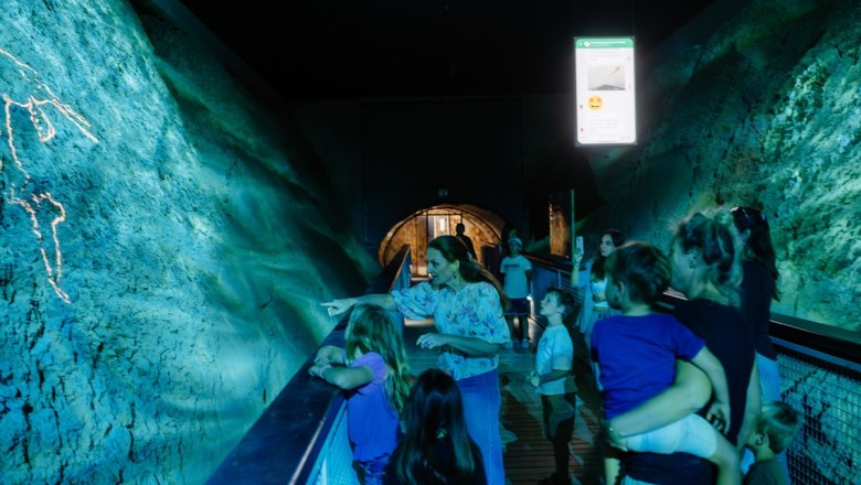 Visitors to a museum look at an illuminated wall of fossils.