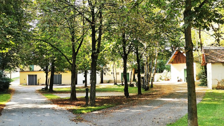 Ein ruhiger Park mit Bäumen und kleinen Gebäuden im Hintergrund.