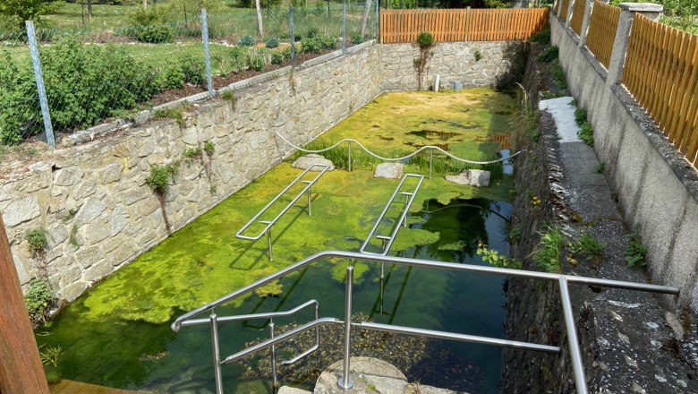 Wassertretanlage mit grünem Wasser und Metallgeländer.