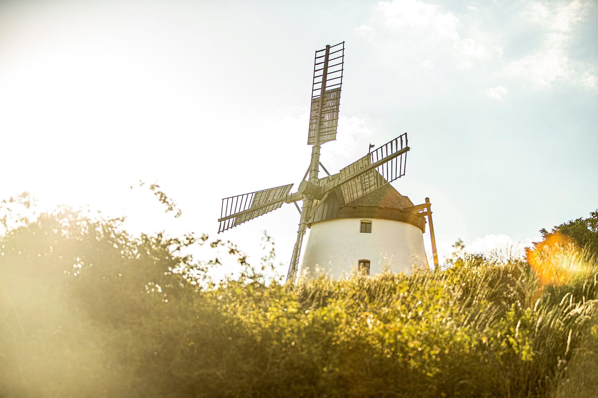 Die alte Windmühle thront majestätisch über den sanften Hügeln und bietet einen atemberaubenden Blick auf die umliegenden Weinlandschaften. Hier, wo die Zeit stillzustehen scheint, können Besucher die frische Luft und die malerische Kulisse genießen, während die sanften Winde die Blätter der umliegenden Pflanzen zum Rascheln bringen.