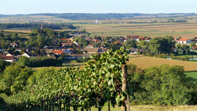 Panorama eines Dorfes mit Feldern und Weinbergen im Vordergrund.