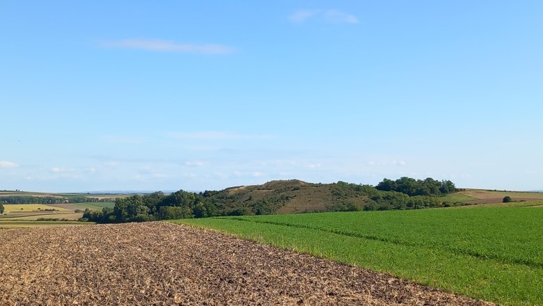 Landschaft mit Feldern und Hügeln unter blauem Himmel.