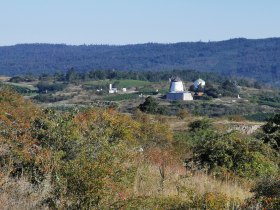 Mittelbergweg mit Blick auf Retzer Windm&uuml;hle, &copy; Retzer Land