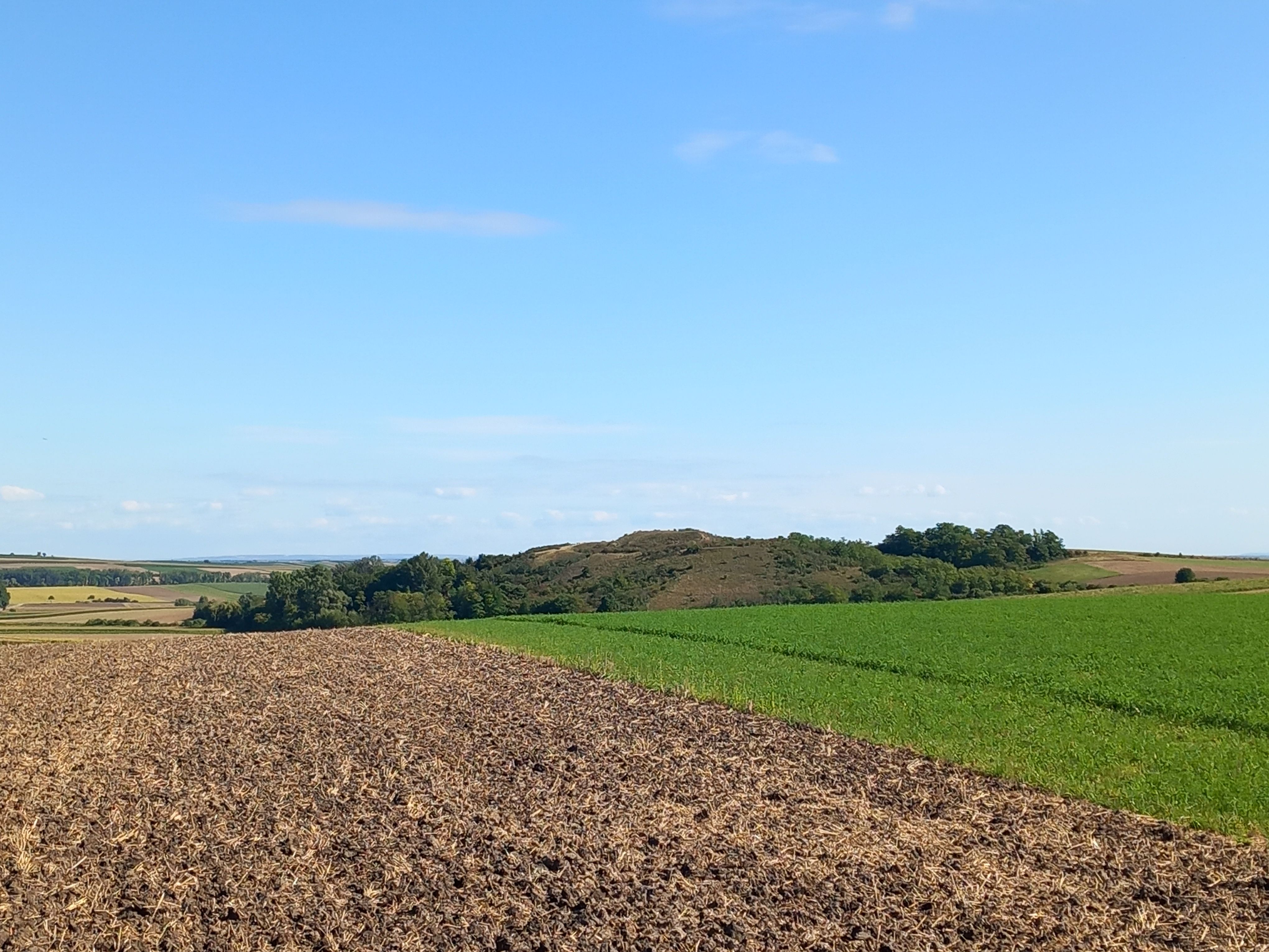 Landscape with fields and hills under a blue sky.