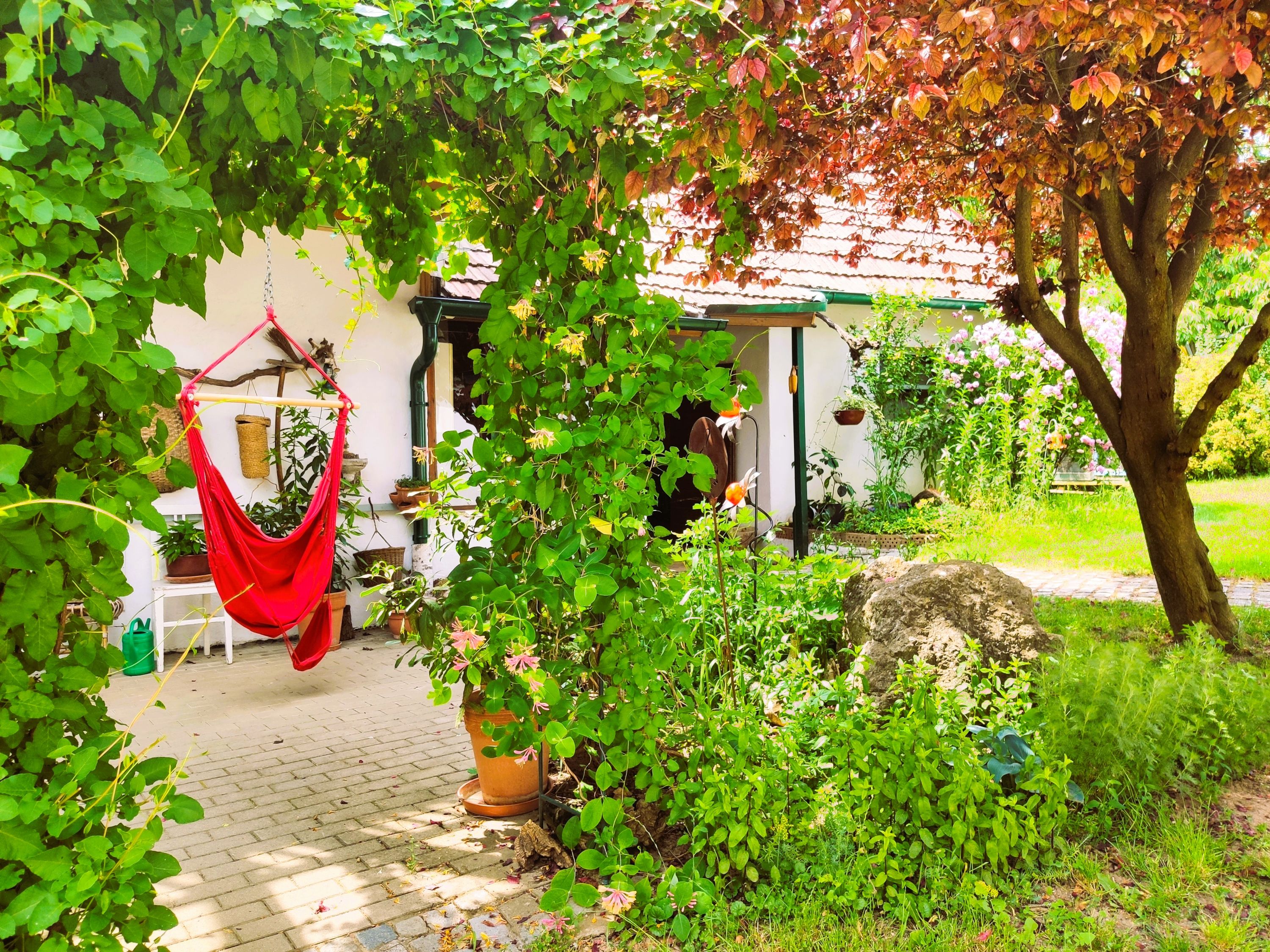 Zelené nádvorie so závesnými kreslami, rastlinami a stromami.