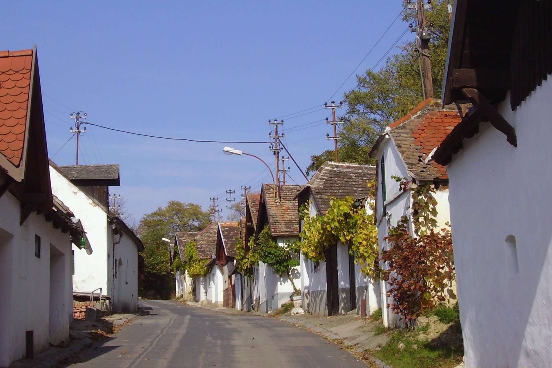 A narrow street with traditional white houses and grapevines on the facades.