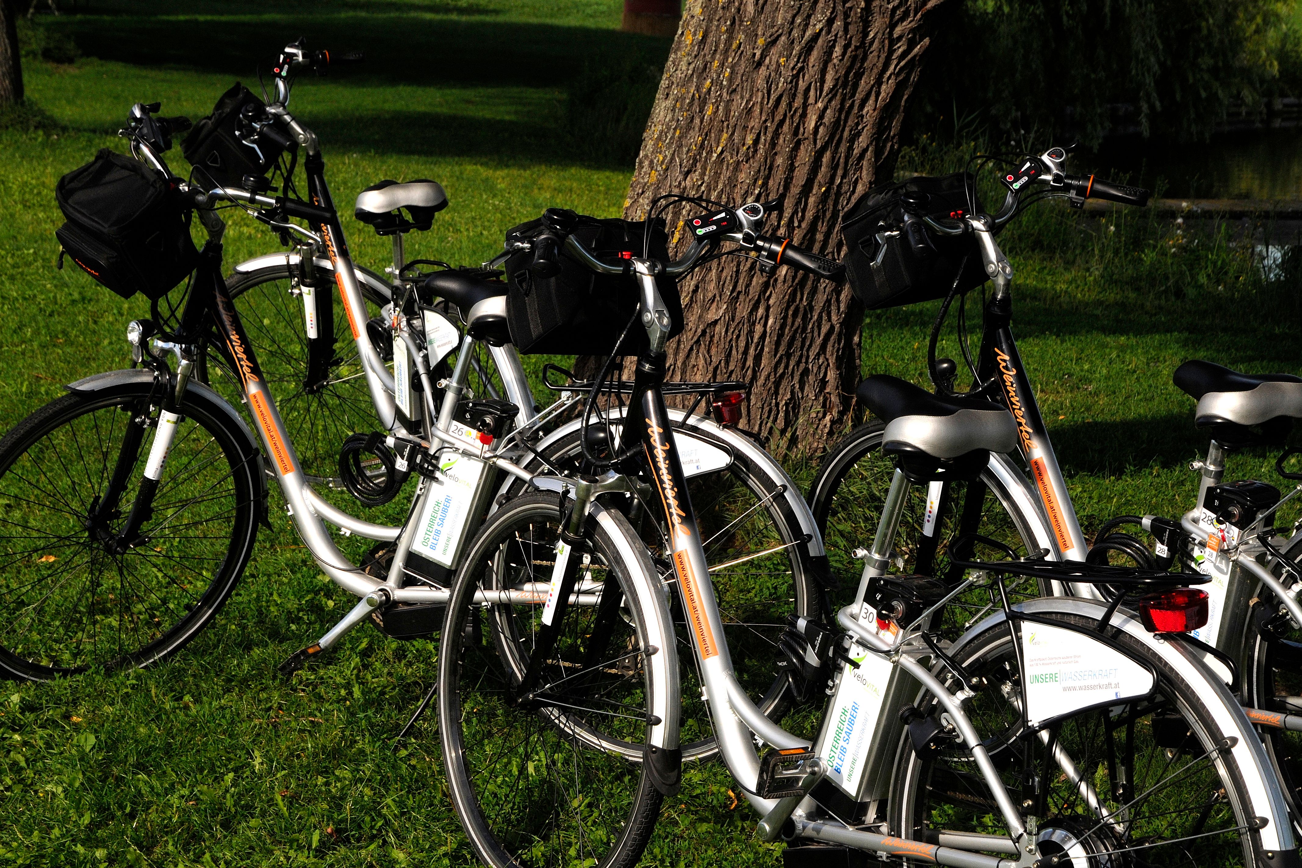 Mehrere silberne e-Bikes mit schwarzen Taschen stehen auf einer Wiese neben einem Baum.