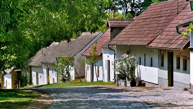 Eine malerische Kellergasse mit alten, weißen Weinkellern und Kopfsteinpflaster in Pillichsdorf, umgeben von grünen Bäumen.