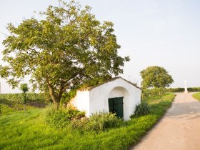 Zellerndorf, &copy; Astrid Bartl