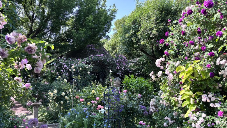 Ein bl&uuml;hender Garten mit verschiedenen Rosen und B&auml;umen unter blauem Himmel.