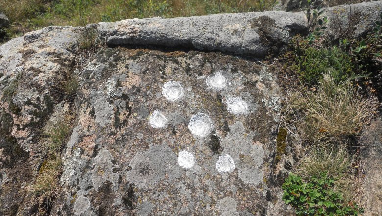 Ein Felsen mit mehreren weißen, kreisförmigen Markierungen in einer natürlichen Umgebung.