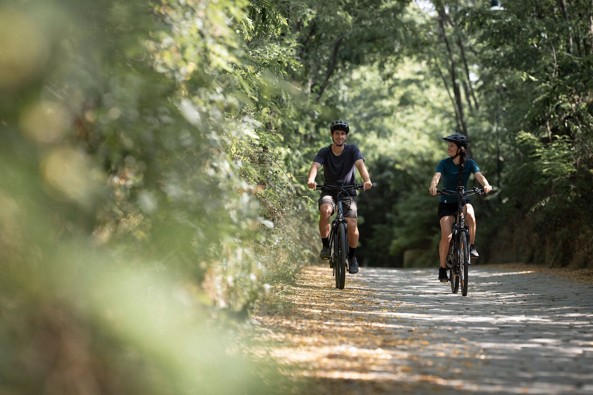 Die sanften Hügel des Weinviertels laden zu einer erfrischenden Radtour ein. Zwei Radfahrer genießen die ruhige Atmosphäre und die üppige Natur entlang des Radywegs, während die Sonne durch die Bäume blitzt. Hier, wo die Weinreben in der Ferne blühen, wird der Sommer in vollen Zügen erlebt.