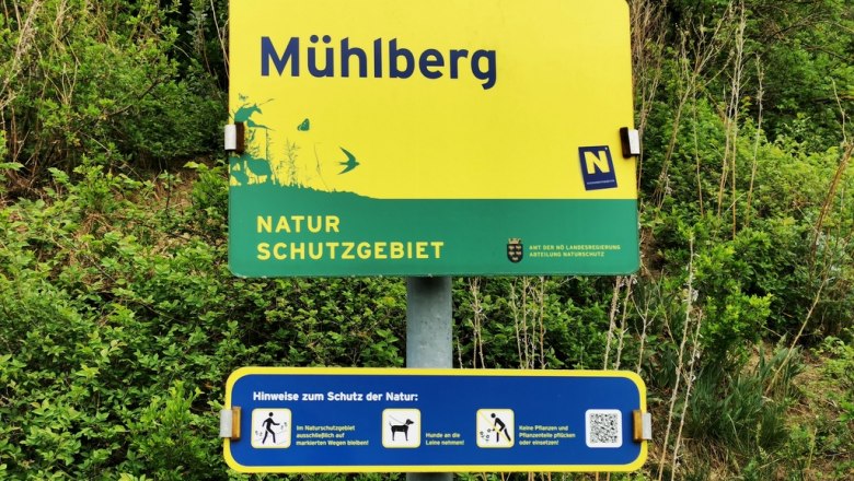 Naturschutzgebiet Mühlberg, © Weinstraße Weinviertel