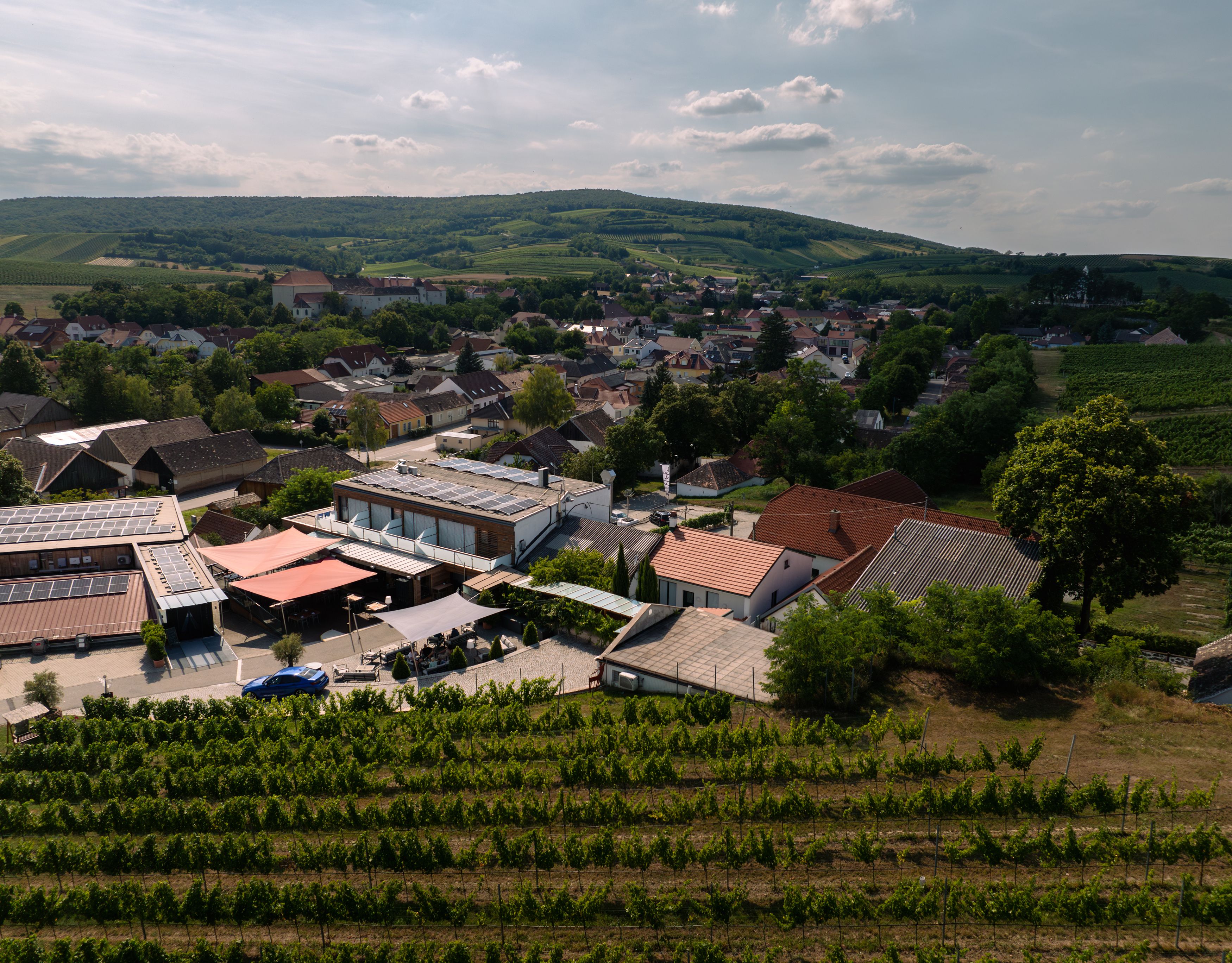 Luftaufnahme eines Weinguts mit umliegenden Gebäuden und Weinbergen.