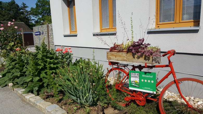 Ein rotes Fahrrad mit Blumenkasten steht vor einem Gebäude mit Garten.
