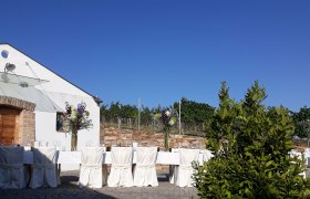 Gedeckter Tisch im Freien vor einem Gebäude mit Weinreben im Hintergrund.