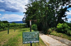 Ein Weg durch eine grüne Landschaft mit einem Schild 'Foto Punkt' im Vordergrund.