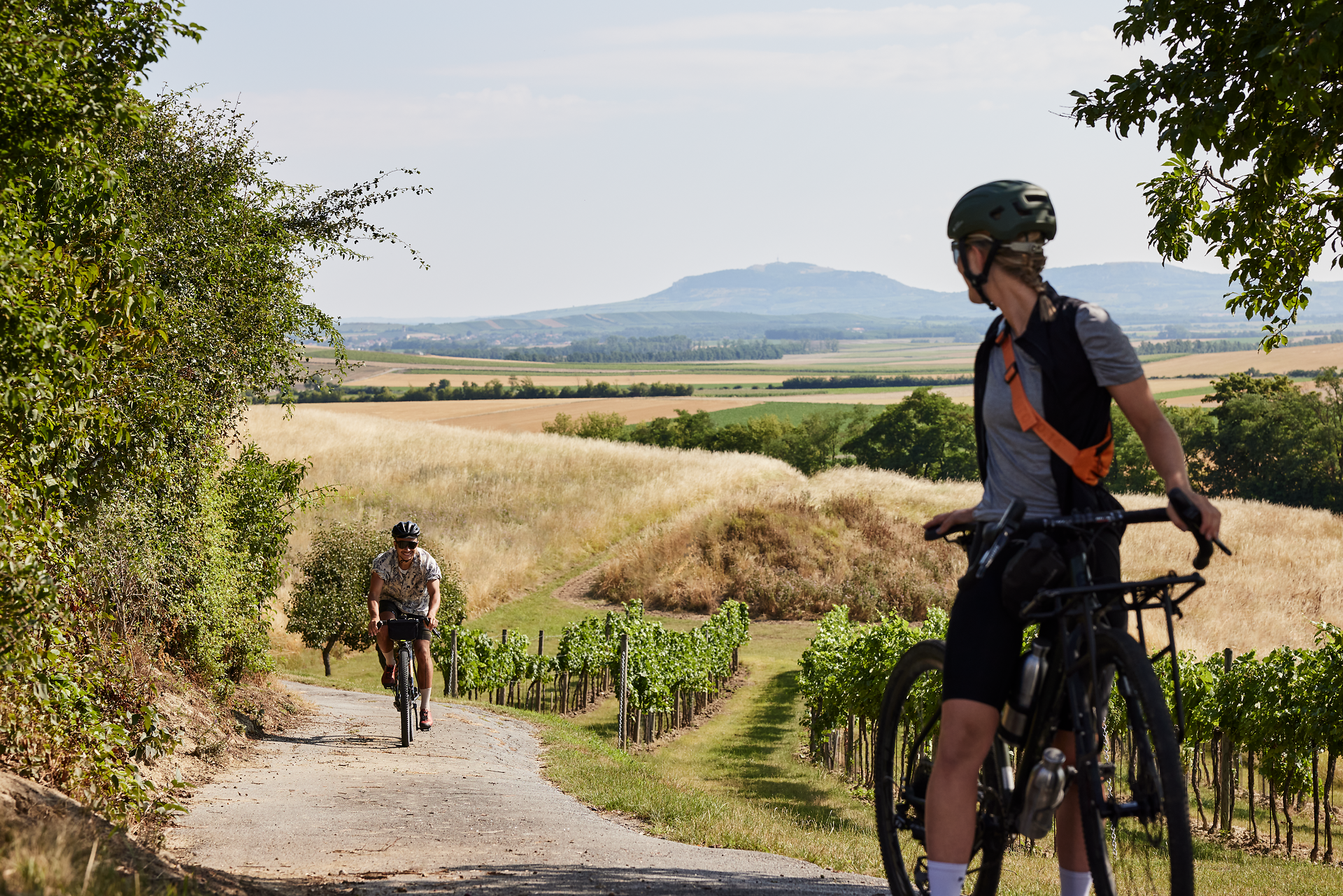 Sanfte Hügel und endlose Weinreben umgeben die Radfahrer, während sie die malerische Landschaft erkunden. Die warme Sonne strahlt über die sanften Wiesen und lädt dazu ein, die frische Luft und die Ruhe der Natur zu genießen.