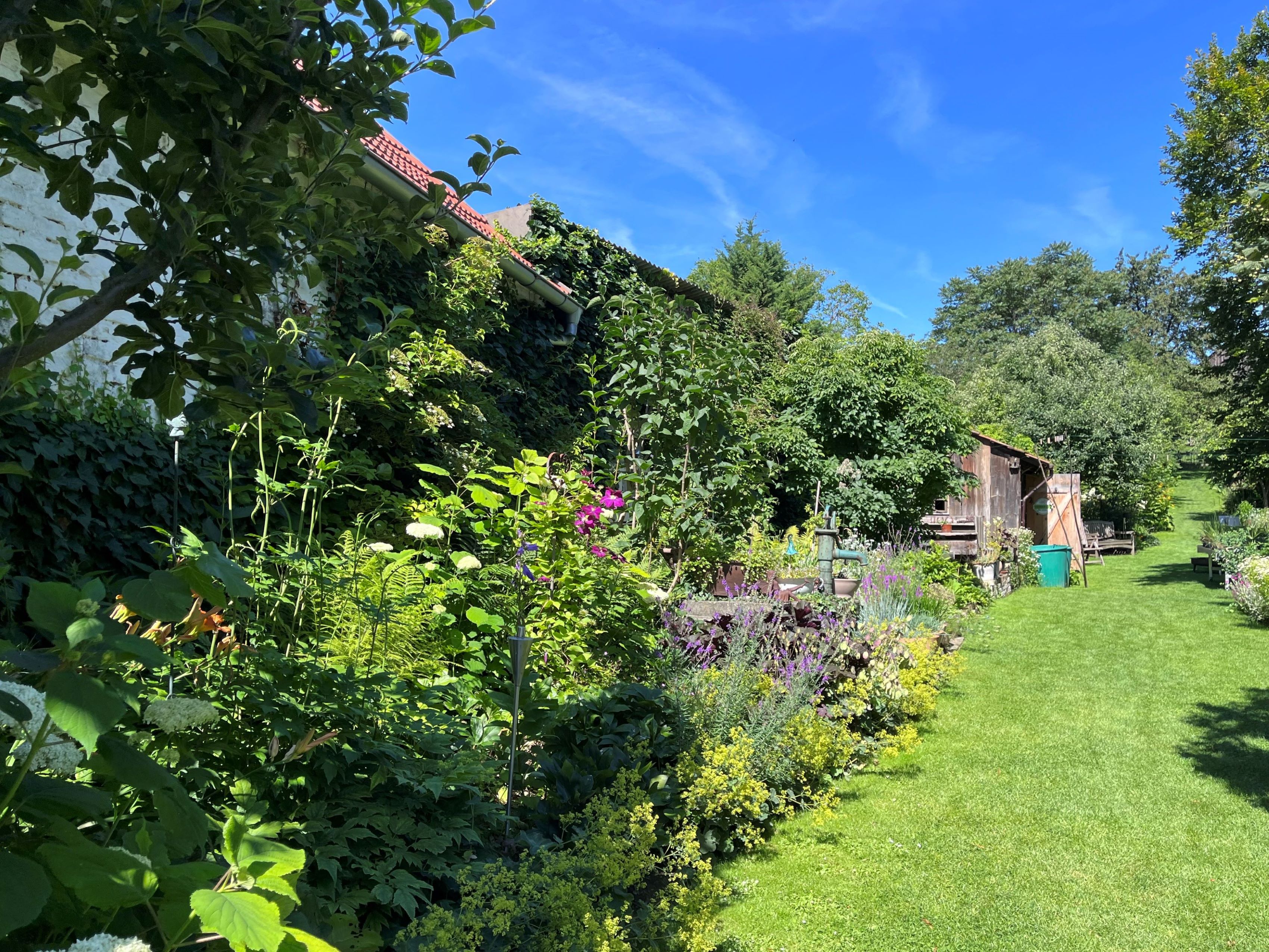 Ein üppiger Bauerngarten mit Blumen, Sträuchern und einem kleinen Schuppen unter blauem Himmel.