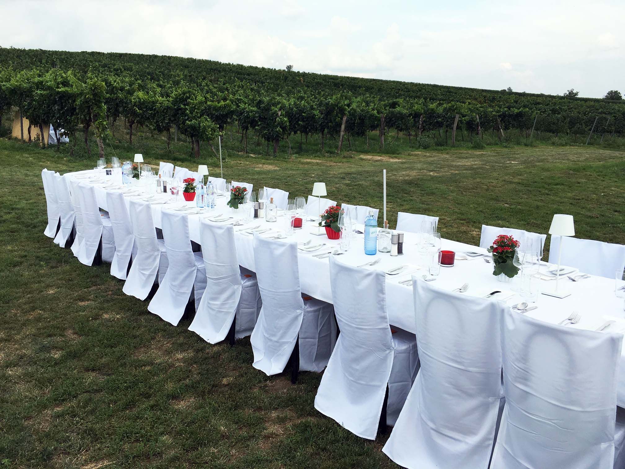 Lange, festlich gedeckte Tafel im Freien vor einem Weinberg.