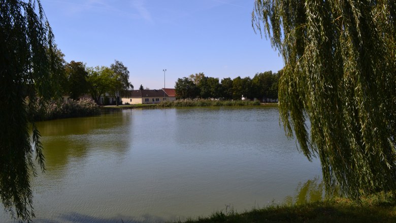 A tranquil pond with surrounding trees and buildings in the background.