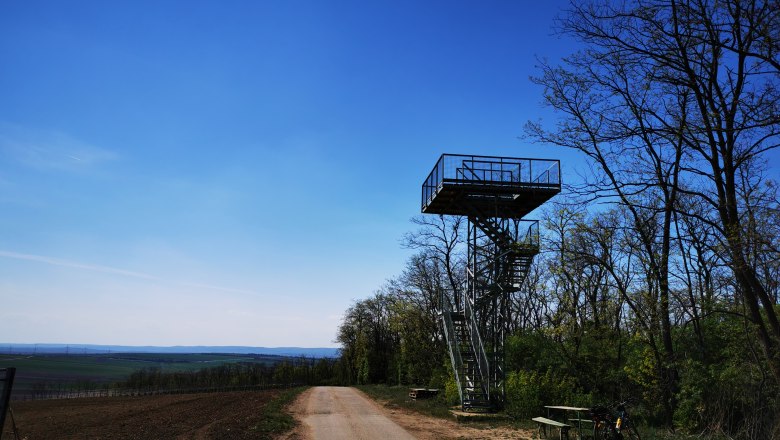 Aussichtsturm Heidbergwarte in Alberndorf neben einem Weg mit Bäumen und einem Fahrrad.