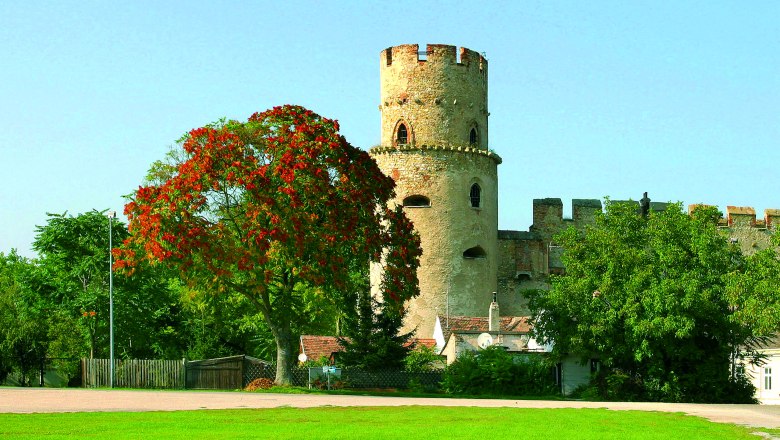 Ein mittelalterlicher Turm der Laaer Burg mit einem Baum im Vordergrund.