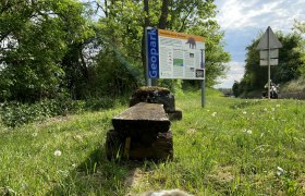 Schild der Mastodonfundstelle in Hohenwarth auf einer Wiese, umgeben von Bäumen und einem Weg.