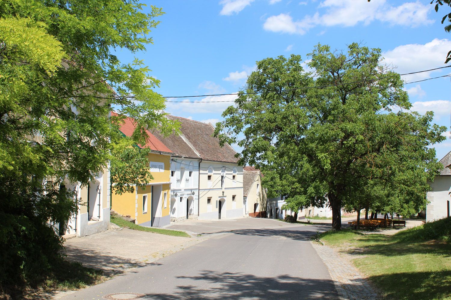 Eine ruhige Straße in der Kellergasse Straning mit Bäumen und traditionellen Gebäuden.