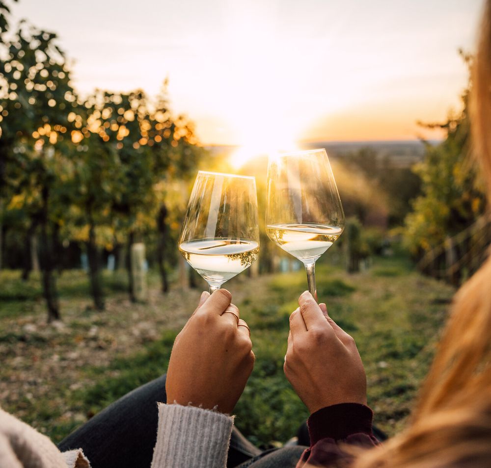 In der goldenen Abenddämmerung erheben zwei Gläser mit erfrischendem Wein den Toast auf einen unvergesslichen Moment. Umgeben von sanften Weinreben und dem sanften Licht der untergehenden Sonne, spürt man die Ruhe und Schönheit der Natur. Ein perfekter Abschluss eines erlebnisreichen Tages in der Weinregion.