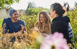 Inmitten einer blühenden Wiese sitzen drei Freunde entspannt zusammen und genießen die frische Luft. Umgeben von bunten Wildblumen und dem sanften Rauschen der Natur, teilen sie fröhliche Gespräche und sammeln Kräuter für ihre nächste Mahlzeit. Diese harmonische Atmosphäre lädt dazu ein, die Schönheit der Natur in vollen Zügen zu erleben.