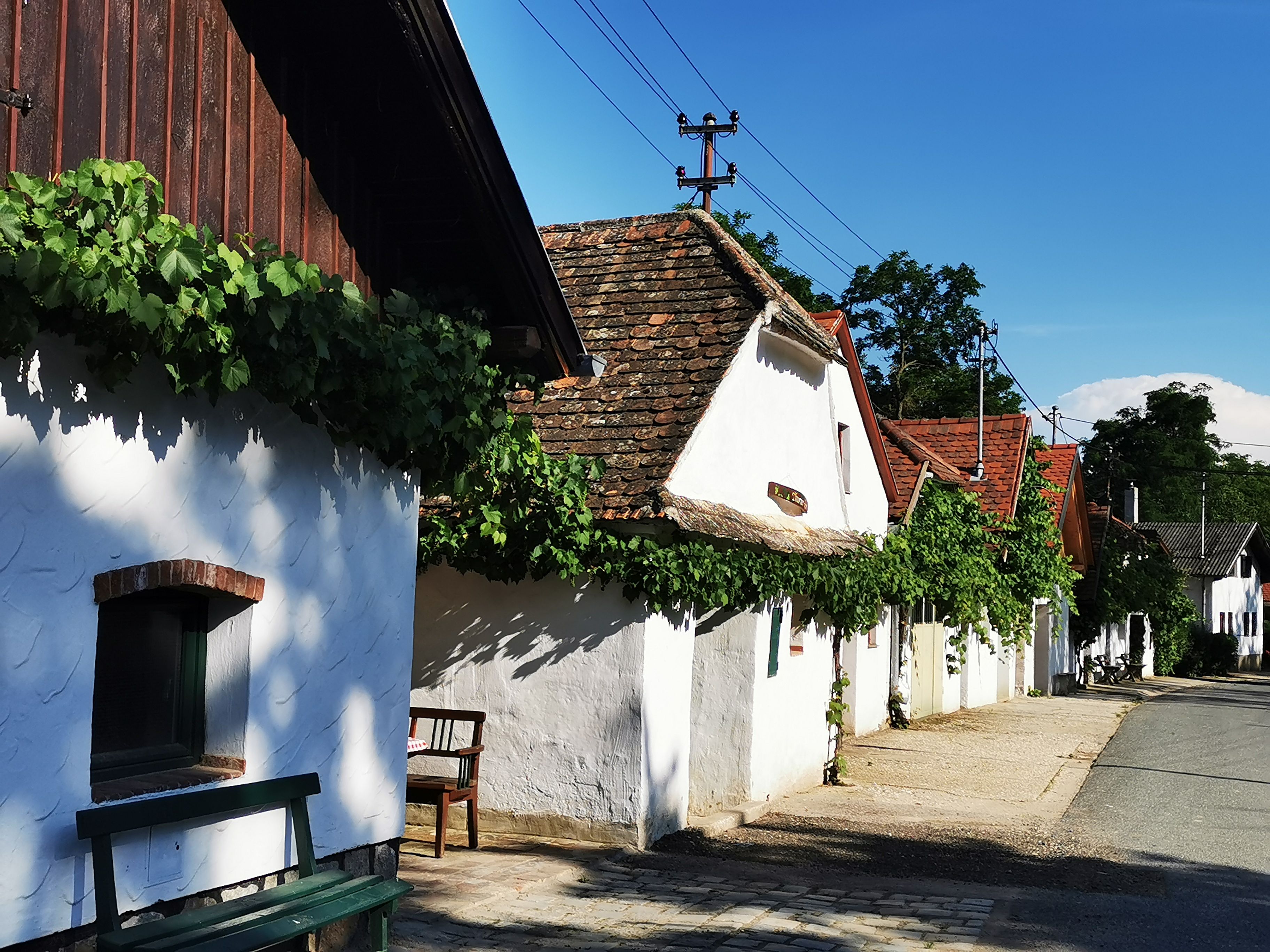 Wine cellar lane in Hadres with white houses and vines.